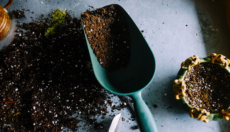 How We Plant in Pots